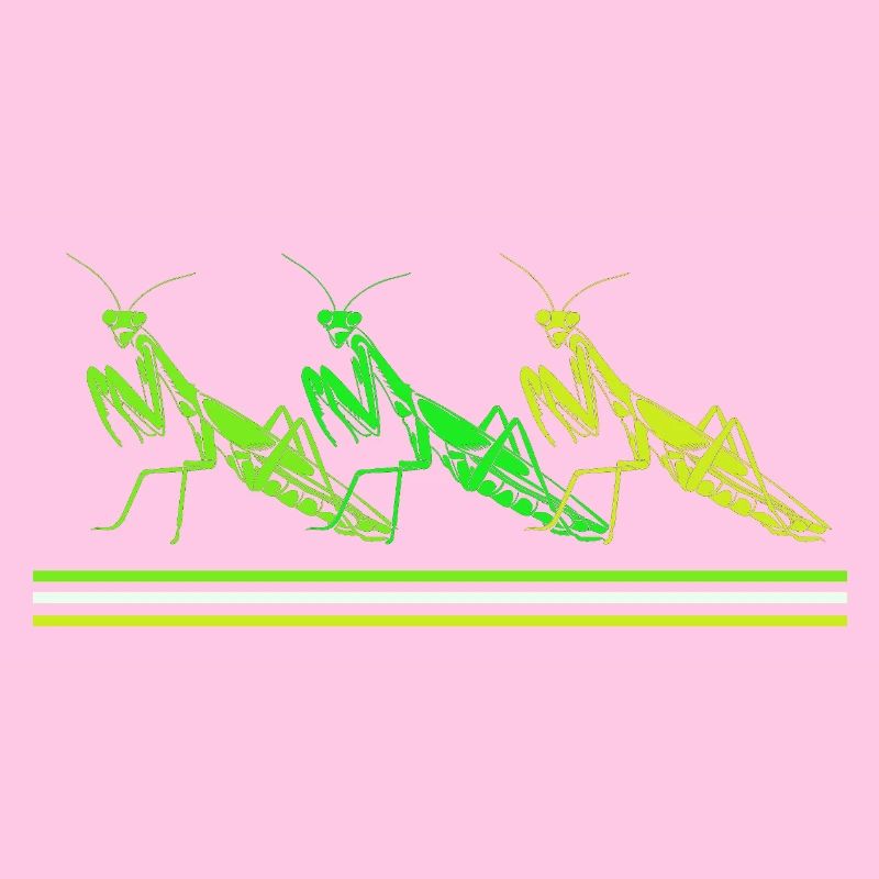 Mantis Gottesanbeter Gottesanbeterin