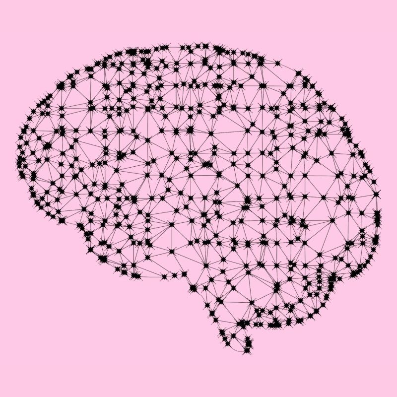 Brain
