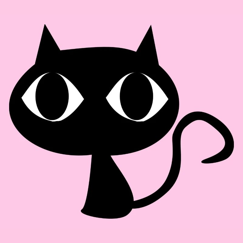 chat noir