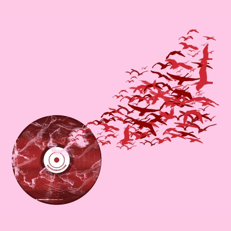 Oiseaux de vinyle