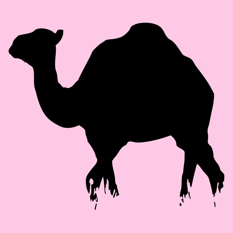 Dromedar - Camel