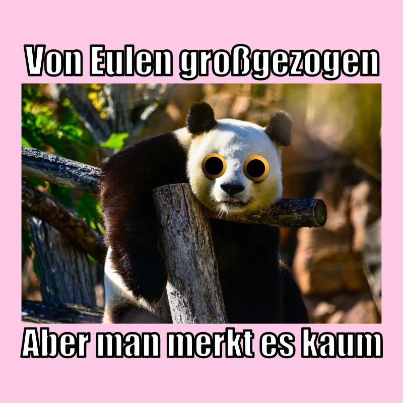 Panda Owl Panda Bear Raised By Owls German Funny