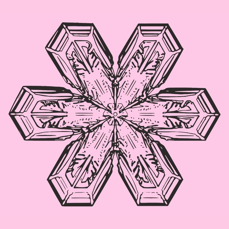 snowflake 1 black