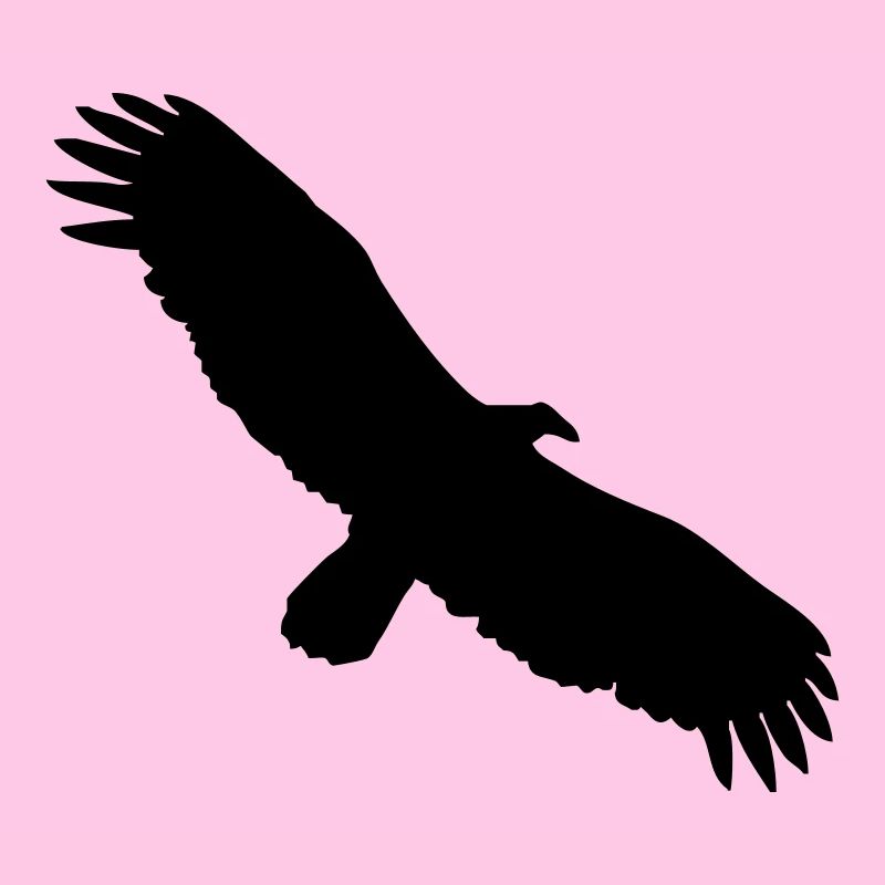 Condor