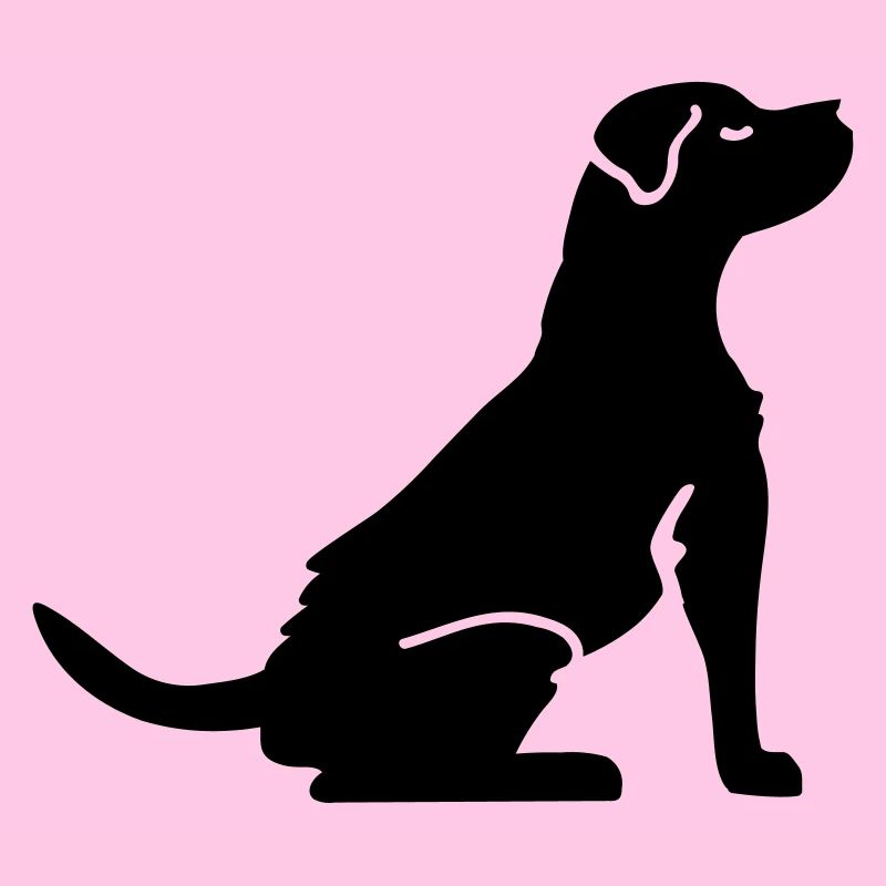 les amateurs de chiens - Chien