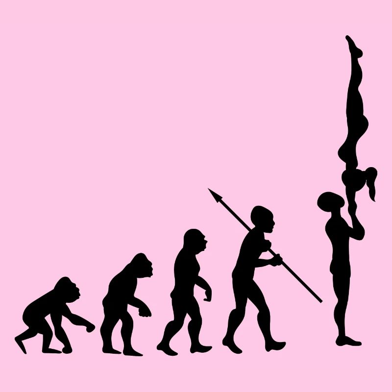 Evolution Gymnastics Gymnastics Acrobatics Gymnastics