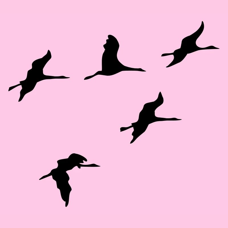 oiseau