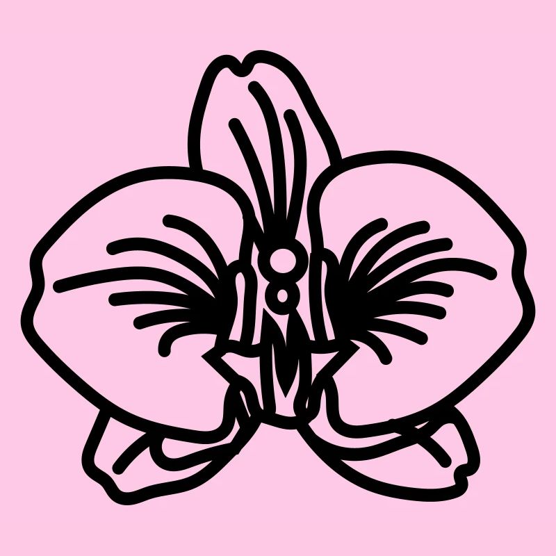 orchidée