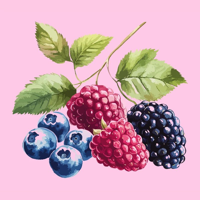 Baies sauvages Baies Myrtille Framboise Mûre