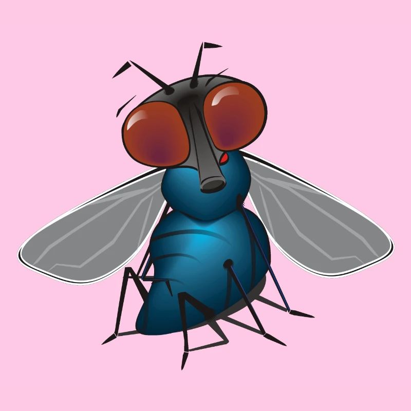 fliege