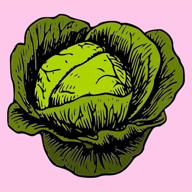 Chou rouge chou blanc chou cabbage kale veggie gemuese