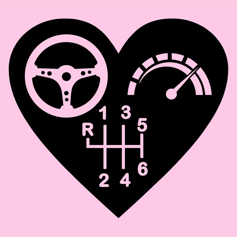 Gearbox 6 speed heart