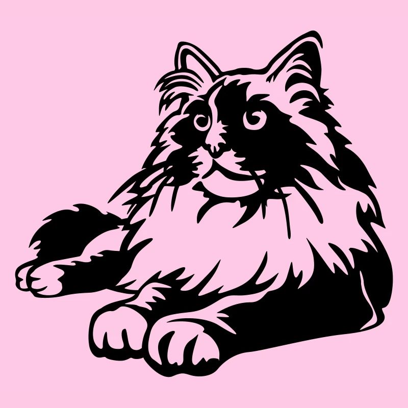 Ragdoll Cat
