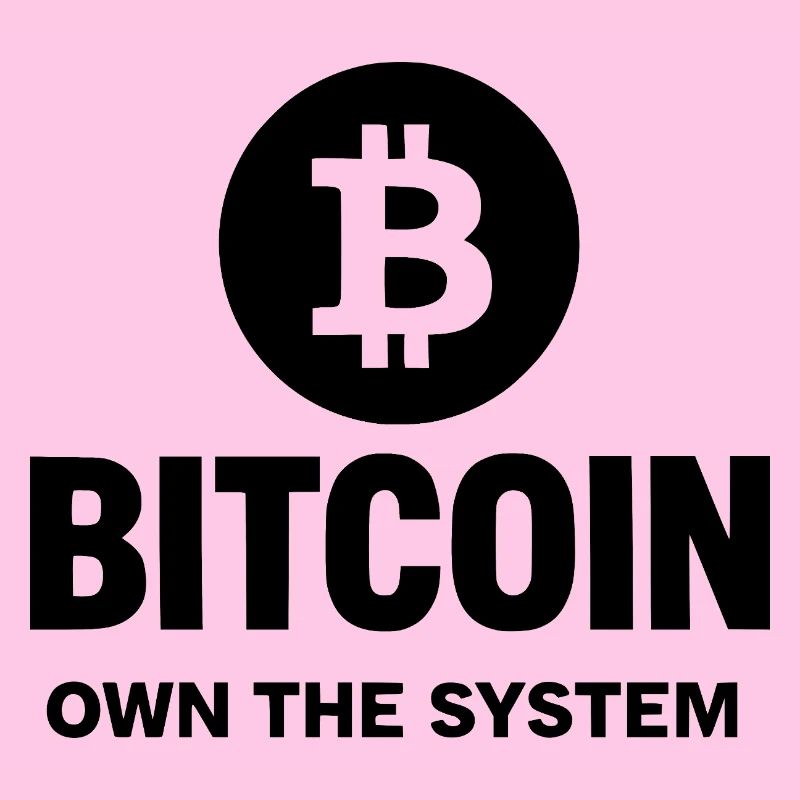 Bitcoin - Posséder le système