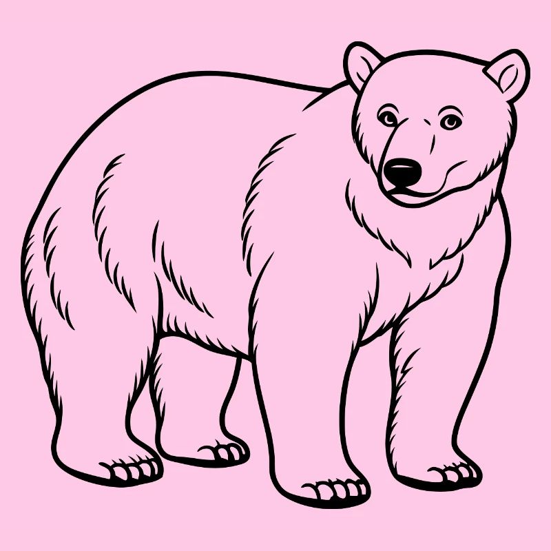 Polar bear