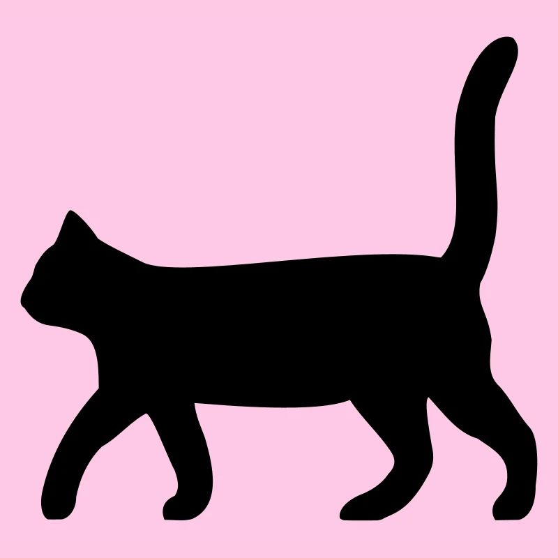 Chat noir