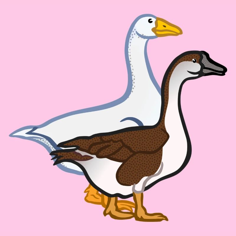 Gänse