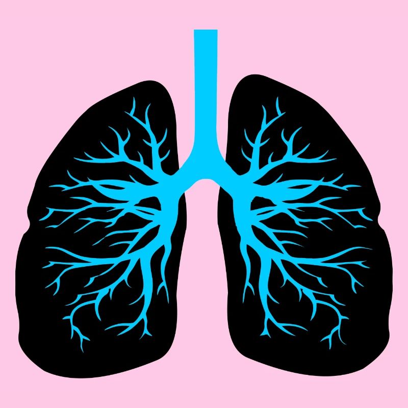Respiratory therapist lungs