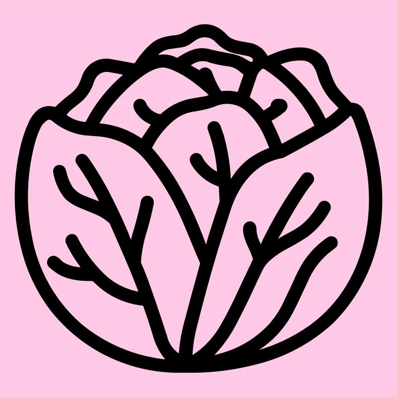 cabbage