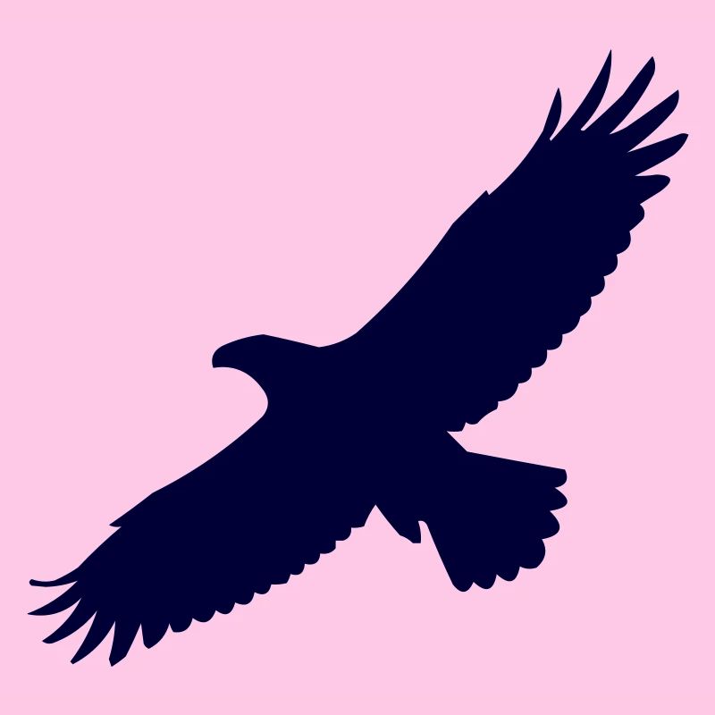 Aigle