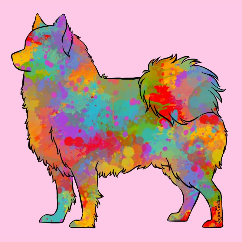 Finnisch-Lappland Multicolor
