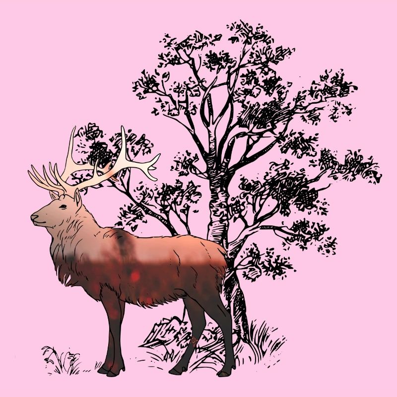 Hirsch_Wald