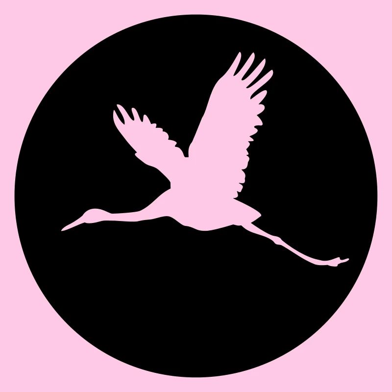 Storch 1