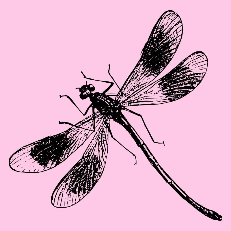 libe 31