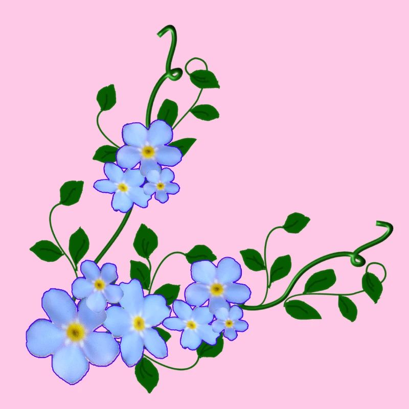 do not forget me
