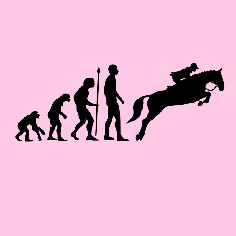 Reiterin Evolution Springreiten Pferde