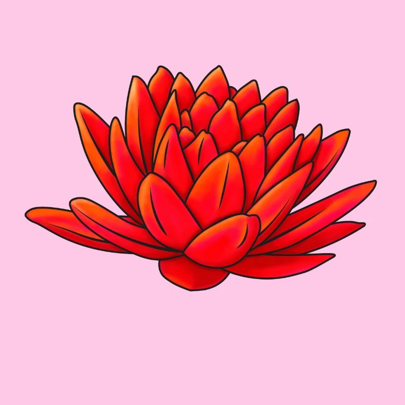 lotus