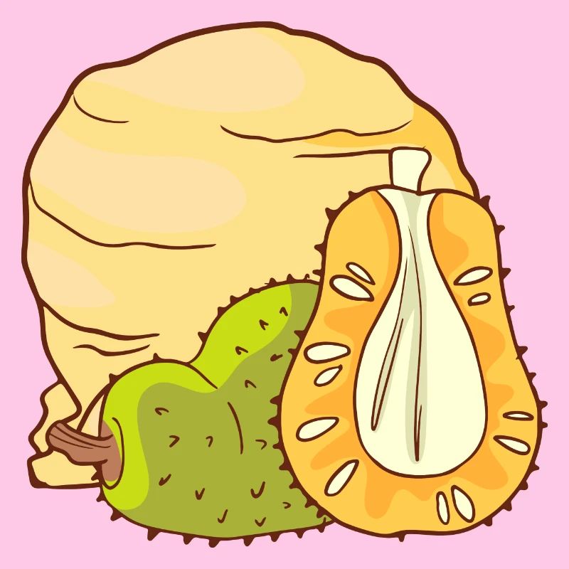 Jackfruit crème glacée crème glacée crème glacée crème glacée boule de glace