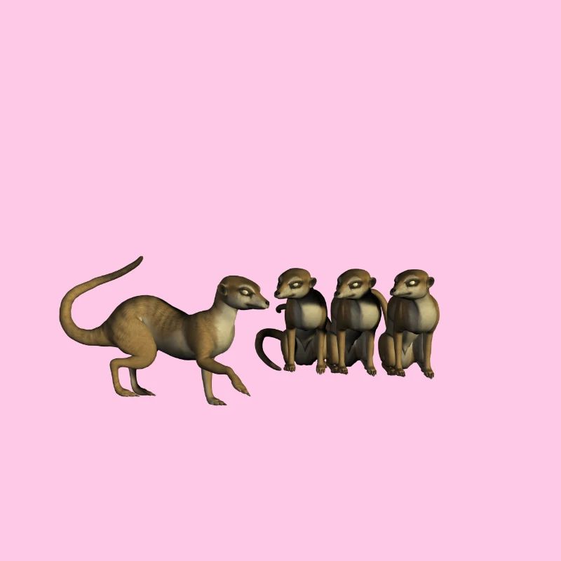 Lustige Erdmännchen