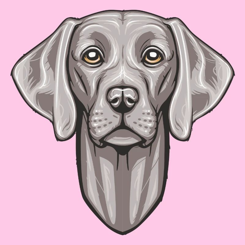 Weimaraner