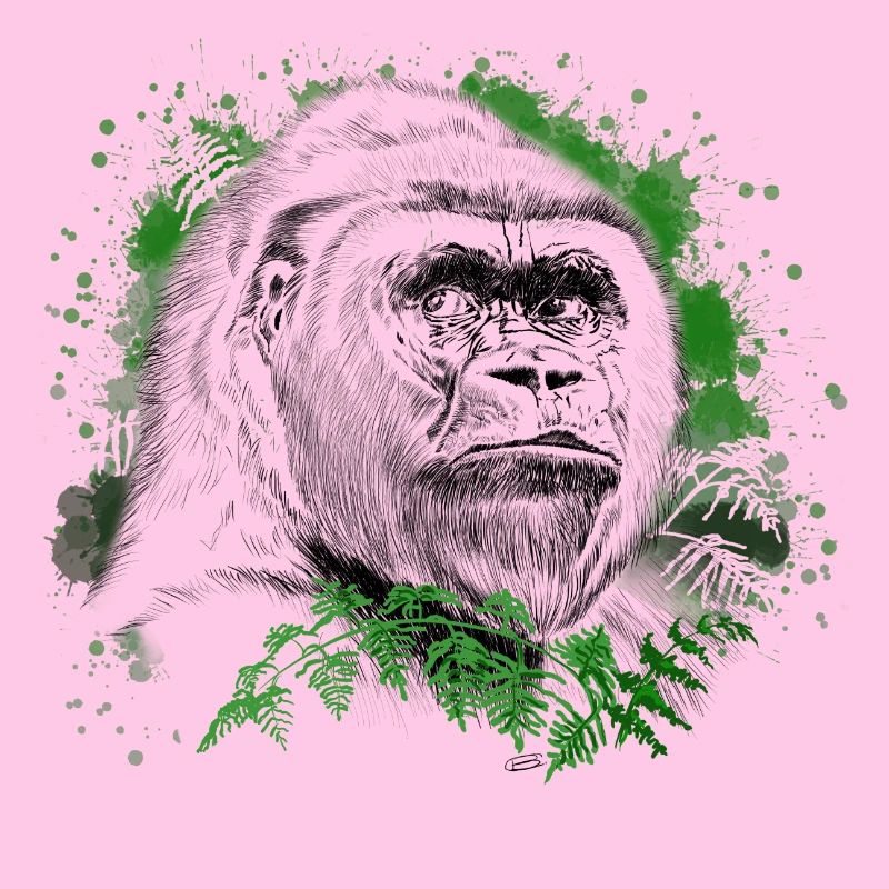 Gorilla