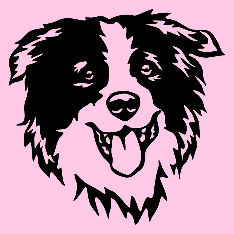Tête de border collie