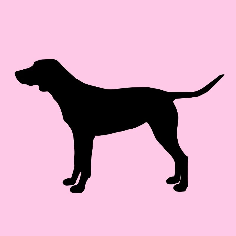 CHIEN