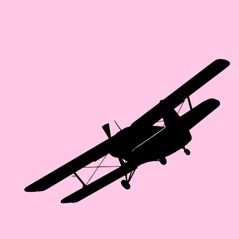 An-2