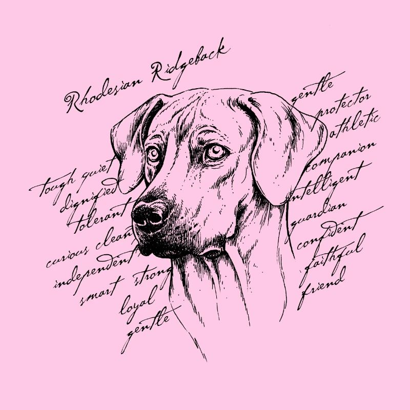 Rhodesian Ridgeback