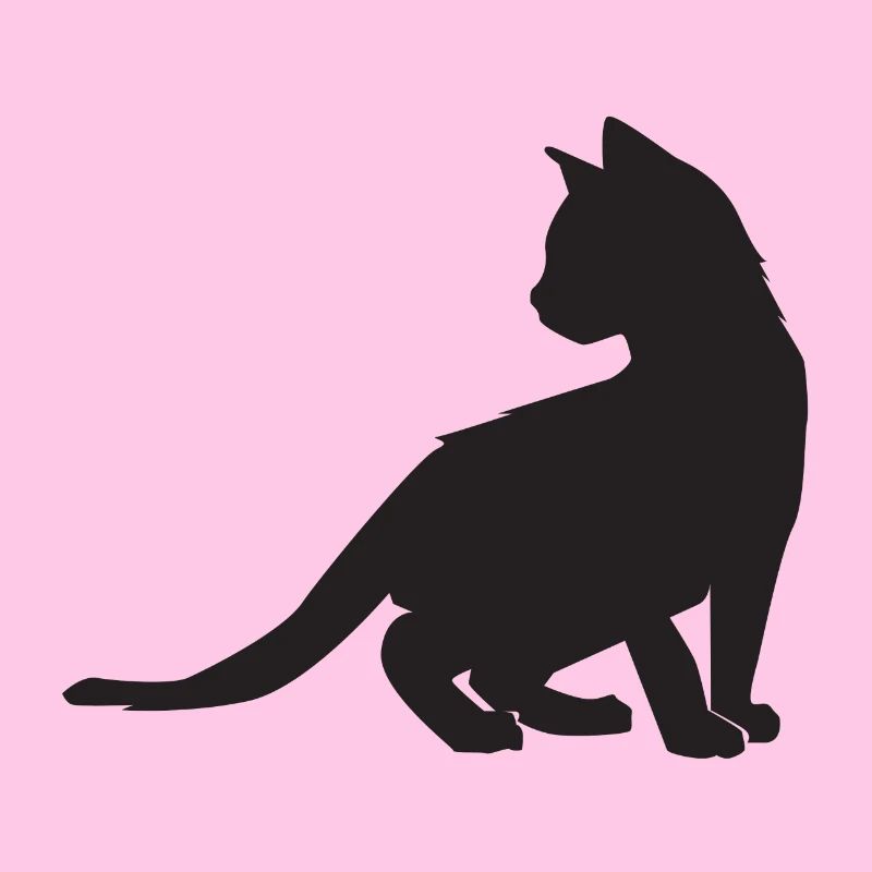 Conception de chaton