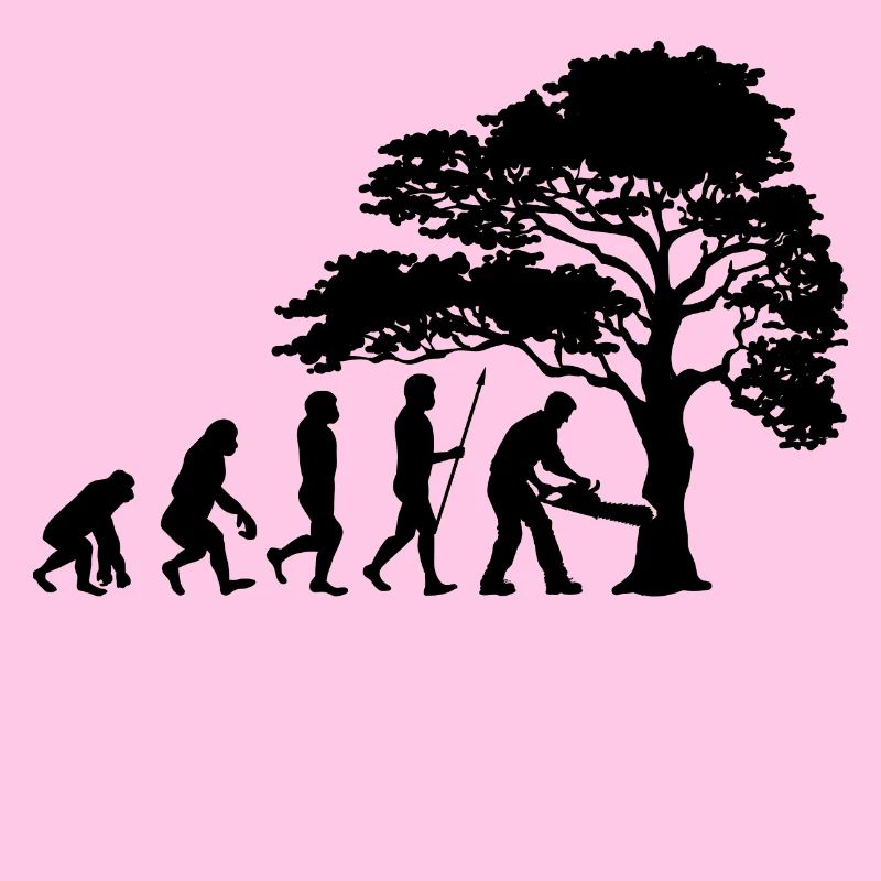 Lumberjack Tree Evolution sciure de bois