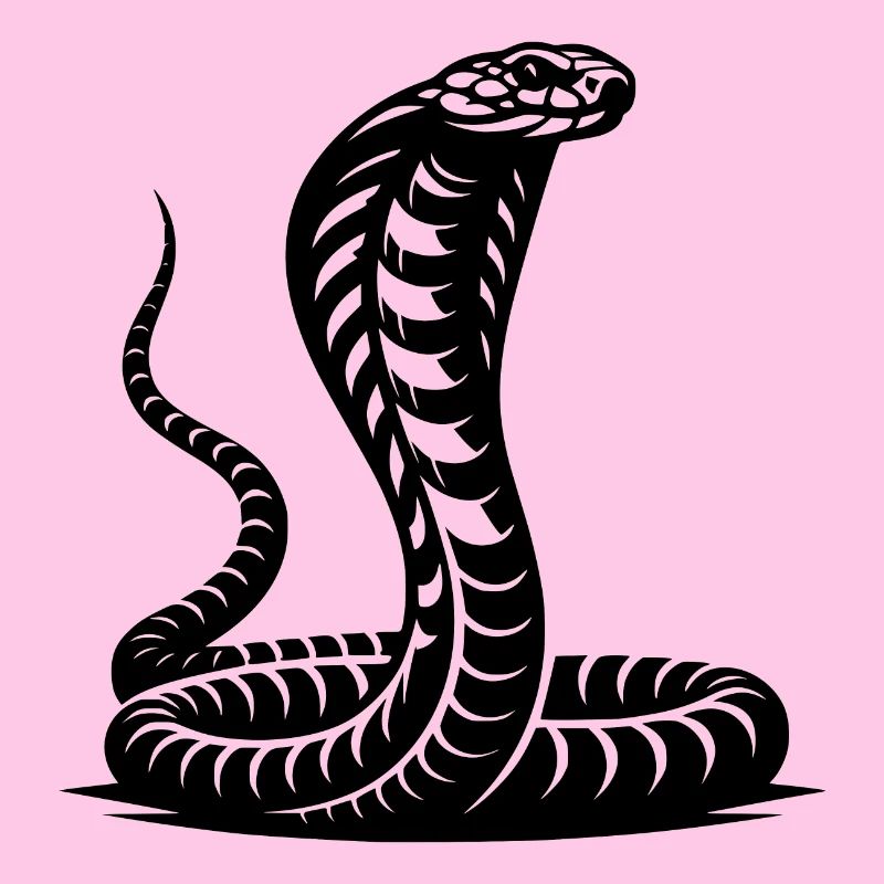 Serpent Cobra Cou Bouclier Menaçant Conception Posture