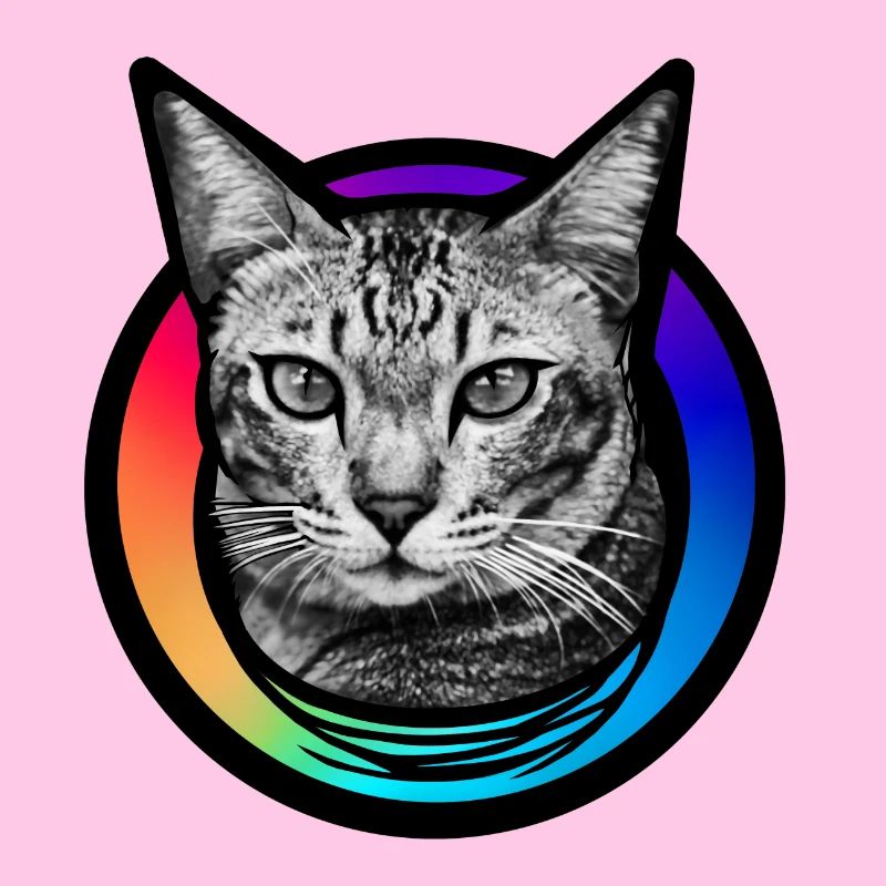 Rainbow Cat