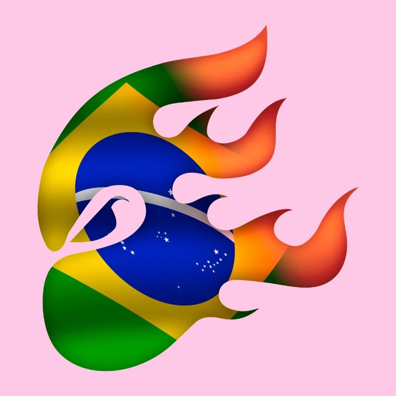 Drapeau du Brésil - Brésil - Ninja