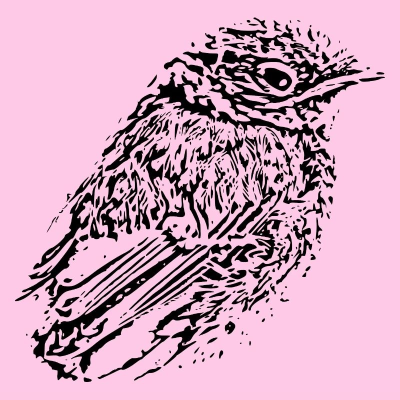 Vogel