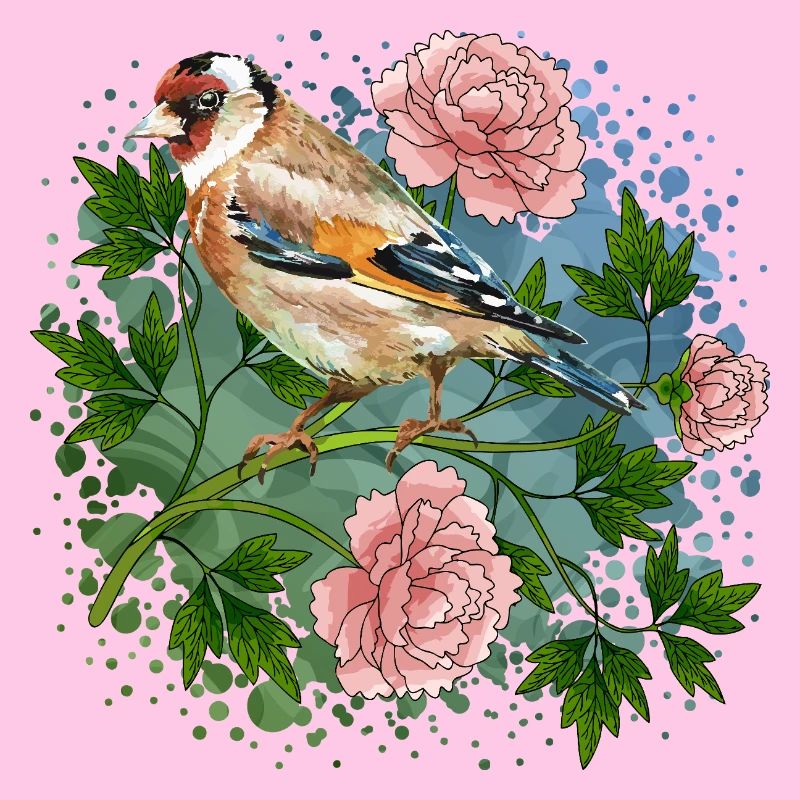 Oiseau coloré
