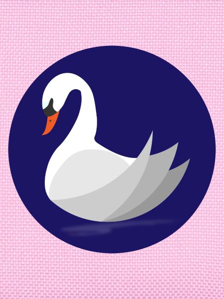 Schwan