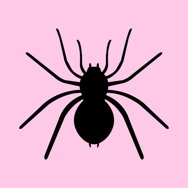 Spinne