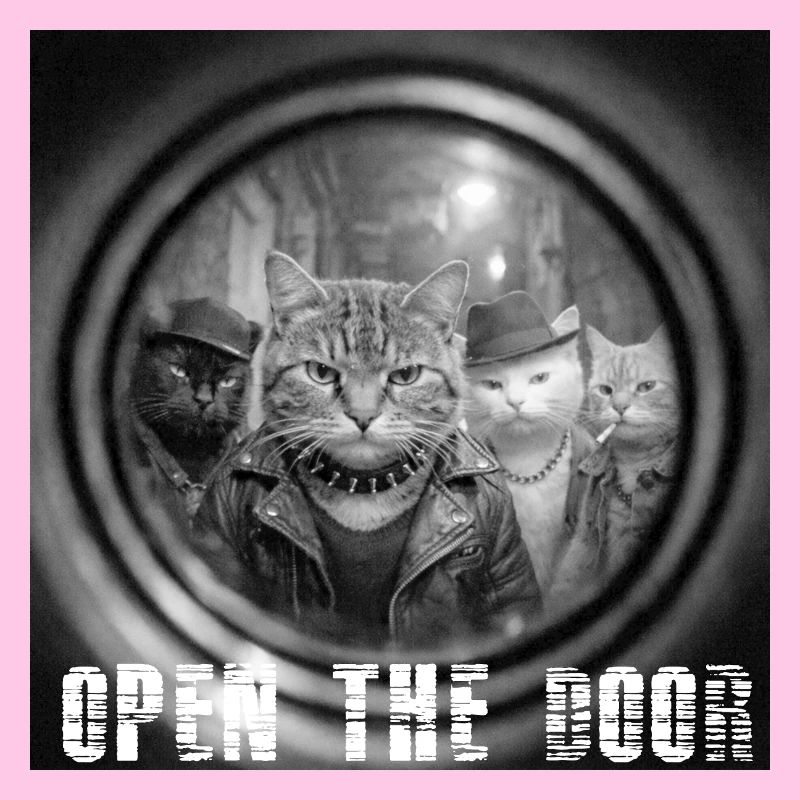 Tür Auf Katzen Noir