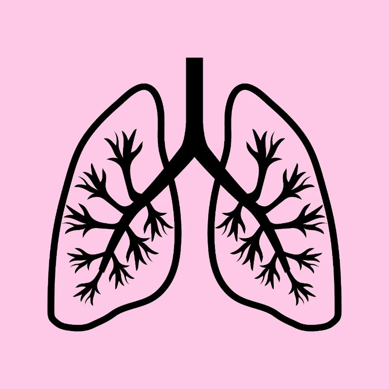 Lungs